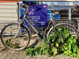 4seniorz Berlin Fahrrad abstellen nicht gestattet