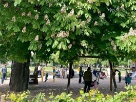 4seniorz berlin monbijou spielplatz