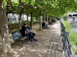 4seniorz berlin monbijou uferweg platanen