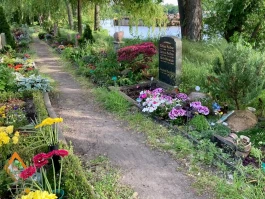 4seniorz berlin stralau gräber